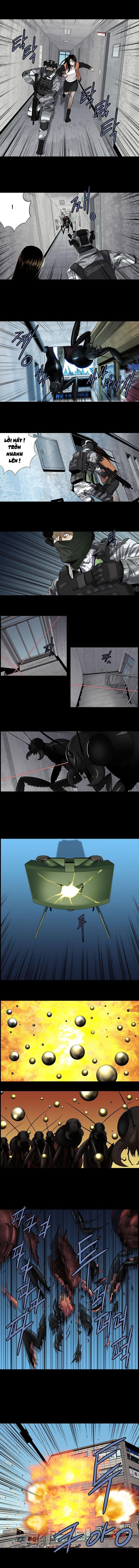 Đọc truyện Hive - Thảm họa ong độc - Chap 149